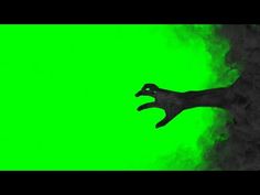 Shadow Hands, Hands Video, Green Screen Video Effect, Greenscreen Ideas, Dark Forest Aesthetic, Free Green Screen, Visual Illusion, Green Background Video, Body Base Drawing