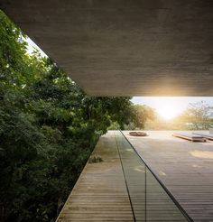 a wooden walkway leading to the top of a building surrounded by trees and greenery