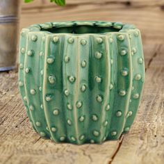 a green cactus planter sitting on top of a wooden table