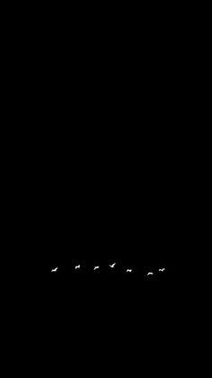 a flock of birds flying in the dark