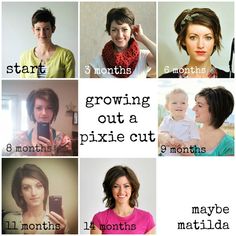 pixie growth collage Growing Out A Pixie Cut, Growing Out A Pixie, Growing Out Hair, Grown Out Pixie, Hair Affair, Hair Envy, Grow Out