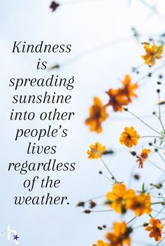 yellow flowers with the words kindness is spreading sunshine into other people's lives regardlesss of the weather