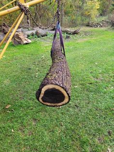 a tree that has been cut down and is being used as a hammock