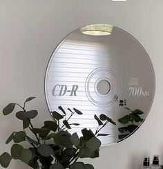 there is a plant in front of a cd on the wall with it's reflection