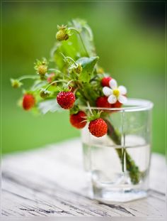 strawberries and daisies in a glass vase on a table with green grass behind them