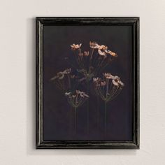 some flowers are in a black frame on the wall