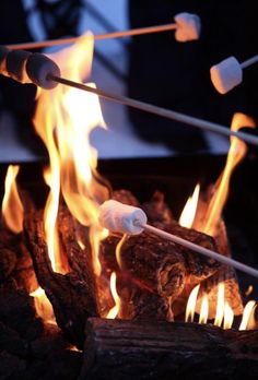 the fire is blazing and there are marshmallows sticking out of it's flames