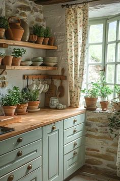 a kitchen filled with lots of potted plants on top of wooden shelves next to a window