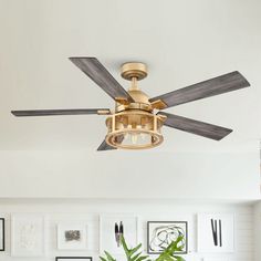 a ceiling fan in a living room with pictures on the wall behind it and a potted plant