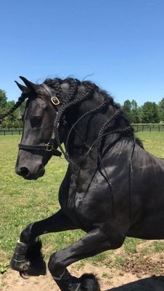 a black horse is galloping in the grass with its legs spread out and it's head turned to the side