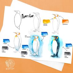 an image of penguins in different stages of development on paper with watercolor pencils