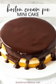 a cake with chocolate frosting and peanut butter on top