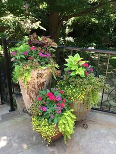 two planters with flowers are on the ground near a fence and trees in the background