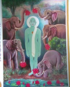 an image of a man standing in front of elephants with flowers around his neck and body