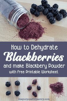 how to dehydrate blackberries and make blackberry powder