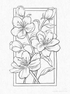 a drawing of flowers in a square frame