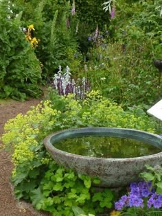 a bird bath sitting in the middle of a garden filled with flowers and greenery