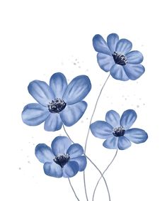 three blue flowers on a white background