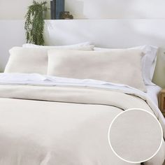 a bed with white sheets and pillows in a bedroom next to a plant on the wall