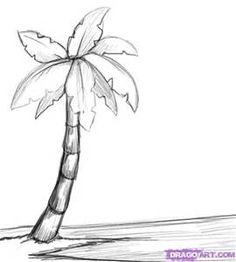 a drawing of a palm tree on the beach