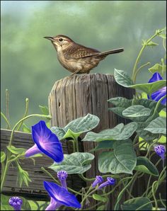 a painting of a bird sitting on top of a wooden post surrounded by purple flowers