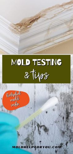 mold testing and tips with text overlay