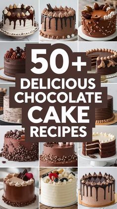 the top 50 delicious chocolate cake recipes