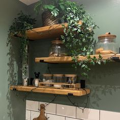 two wooden shelves with plants on them above a sink in a green tiled bathroom area