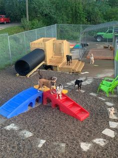 there are many dogs that are playing in the yard together, and one dog is standing on a slide