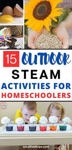 the top five activities for homeschoolers to learn how to cook and play