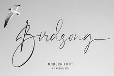 Unlock your artistic potential with free fonts - unleash your creativity Hand Drawn Fonts, Modern Calligraphy Fonts, Stylish Fonts, Brand Fonts, Wedding Fonts, Beautiful Fonts