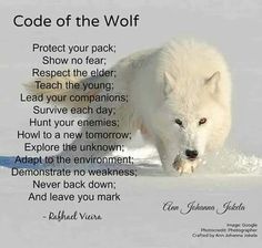 an image of a white wolf with the words code of the wolf on it's face