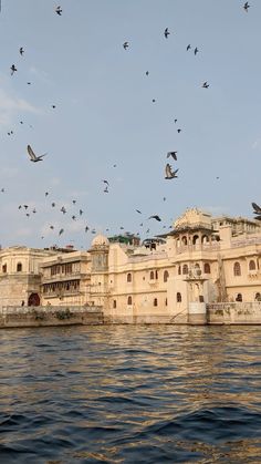 many birds flying over a large building on the water