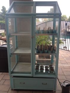 a glass case with plants in it sitting on the ground