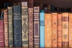 Books for Sale on the Seine - Every Day Paris Bibliophile Aesthetic, Books Display, Paris Black And White, Afternoon Light, Paris Guide, Books For Sale, The Seine, Beautiful Books, Bookish Things