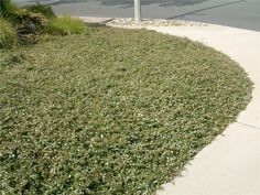 a street sign on the side of a road next to a grass covered hill and sidewalk