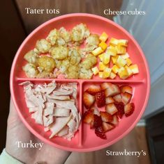 a person holding a pink plate with different types of food in it and labeled on the side