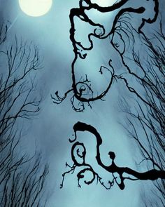 the silhouettes of trees and branches against a blue sky with a full moon in the background