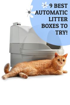 an orange cat laying on the ground next to a toilet with text overlay saying 9 best automatic litter boxes to try