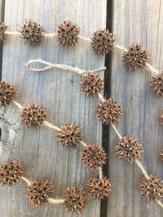 some pine cones are tied together on a wooden board with string and twine around them