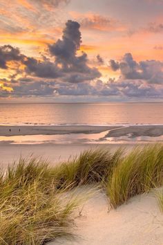 the beach is covered in grass and sand as the sun sets over the ocean behind it