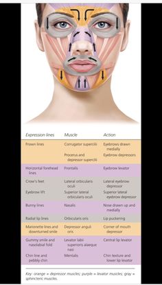 Botox Supplies, Facial Muscles Anatomy, Botox Training, Botox Quotes, Botox Injection Sites, Facial Injections, Skin Anatomy, Aesthetic Dermatology, Anti Wrinkle Injections