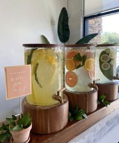 three glasses filled with lemonade and oranges on top of a wooden shelf next to potted plants