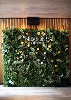 a green wall with plants and flowers on it that says belvedere ginger zest