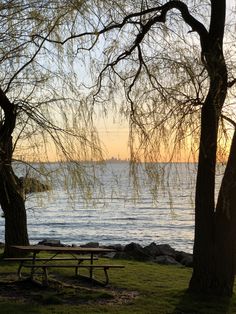 a picnic table sitting next to some trees near the water