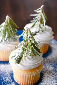 three cupcakes with frosting and small pine trees on top are sitting on a blue plate