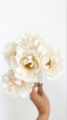 a hand holding a bunch of white flowers