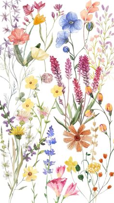 watercolor painting of colorful flowers on white background