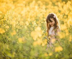 Rapeseed Field, Yellow Field, Yellow Blossom, Picking Flowers, Spring Photography, Kids Portraits, Creative Photos, Anime Scenery Wallpaper, Outdoor Photography