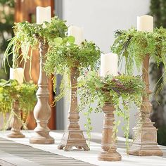 several candles are lined up with plants in them